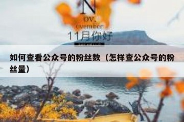如何查看公众号的粉丝数（怎样查公众号的粉丝量）