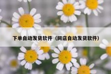 下单自动发货软件（网店自动发货软件）