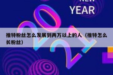 推特粉丝怎么发展到两万以上的人（推特怎么长粉丝）