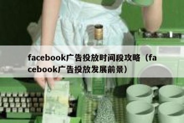 facebook广告投放时间段攻略（facebook广告投放发展前景）