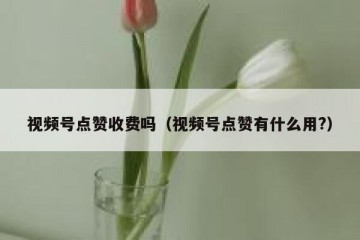 视频号点赞收费吗（视频号点赞有什么用?）