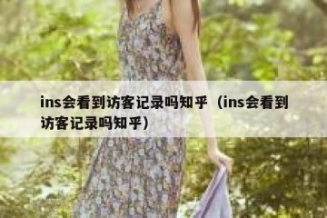 ins会看到访客记录吗知乎（ins会看到访客记录吗知乎）