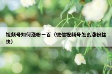视频号如何涨粉一百（微信视频号怎么涨粉丝快）