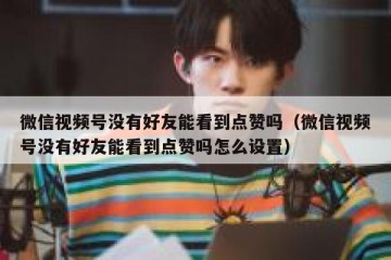 微信视频号没有好友能看到点赞吗（微信视频号没有好友能看到点赞吗怎么设置）