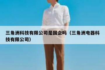 三角洲科技有限公司是国企吗（三角洲电器科技有限公司）