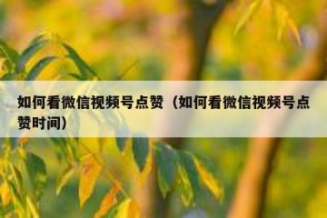 如何看微信视频号点赞（如何看微信视频号点赞时间）
