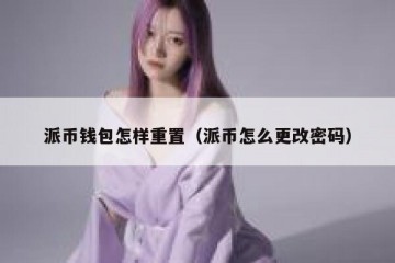 派币钱包怎样重置（派币怎么更改密码）