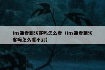 ins能看到访客吗怎么看（ins能看到访客吗怎么看不到）