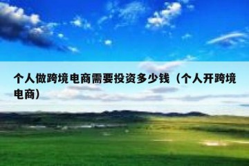 个人做跨境电商需要投资多少钱（个人开跨境电商）