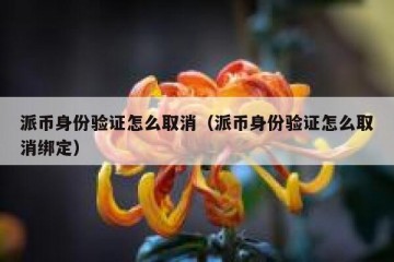 派币身份验证怎么取消（派币身份验证怎么取消绑定）