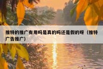推特的推广有用吗是真的吗还是假的呀（推特广告推广）