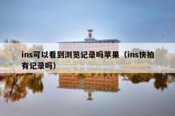 ins可以看到浏览记录吗苹果（ins快拍有记录吗）