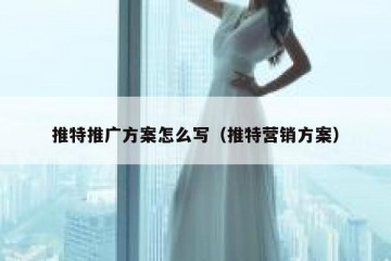 推特推广方案怎么写（推特营销方案）