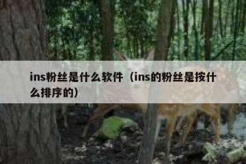 ins粉丝是什么软件（ins的粉丝是按什么排序的）