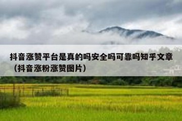抖音涨赞平台是真的吗安全吗可靠吗知乎文章（抖音涨粉涨赞图片）