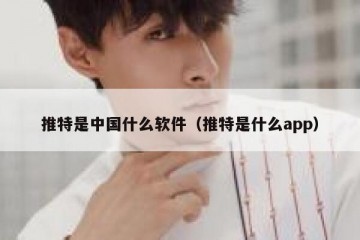 推特是中国什么软件（推特是什么app）