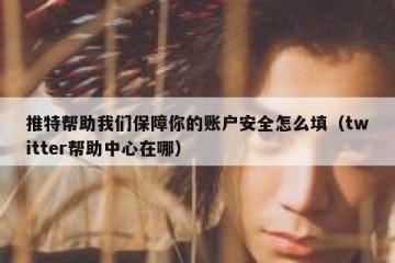 推特帮助我们保障你的账户安全怎么填（twitter帮助中心在哪）