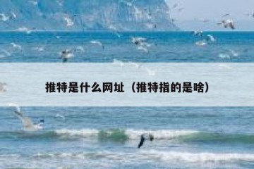 推特是什么网址（推特指的是啥）