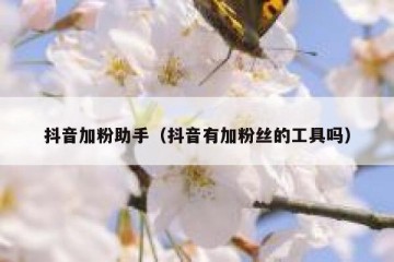 抖音加粉助手（抖音有加粉丝的工具吗）