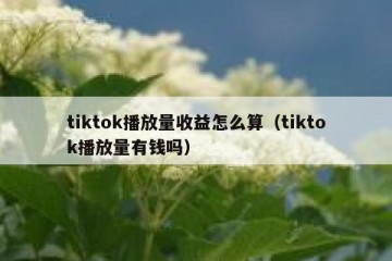 tiktok播放量收益怎么算（tiktok播放量有钱吗）