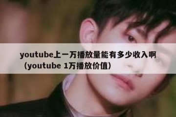 youtube上一万播放量能有多少收入啊（youtube 1万播放价值）