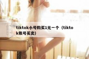 tiktok小号购买1元一个（tiktok账号买卖）