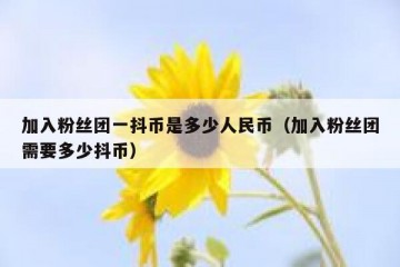 加入粉丝团一抖币是多少人民币（加入粉丝团需要多少抖币）