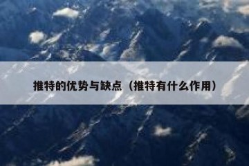 推特的优势与缺点（推特有什么作用）