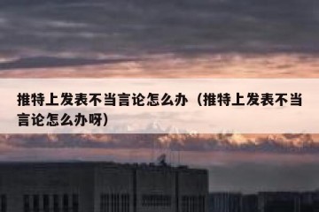 推特上发表不当言论怎么办（推特上发表不当言论怎么办呀）
