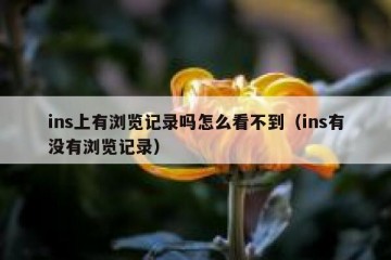 ins上有浏览记录吗怎么看不到（ins有没有浏览记录）
