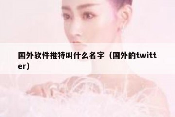 国外软件推特叫什么名字（国外的twitter）