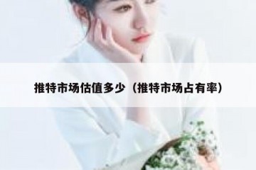 推特市场估值多少（推特市场占有率）
