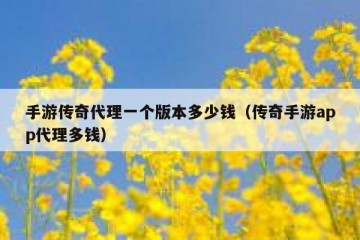 手游传奇代理一个版本多少钱（传奇手游app代理多钱）
