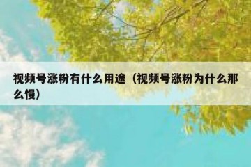 视频号涨粉有什么用途（视频号涨粉为什么那么慢）