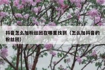 抖音怎么加粉丝团在哪里找到（怎么加抖音的粉丝团）