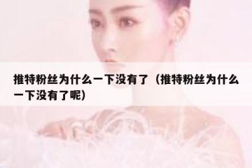 推特粉丝为什么一下没有了（推特粉丝为什么一下没有了呢）
