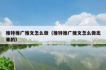 推特推广推文怎么做（推特推广推文怎么做出来的）