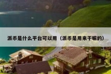 派币是什么平台可以用（派币是用来干嘛的）