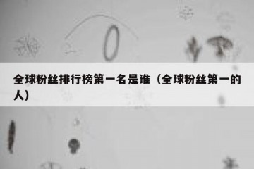 全球粉丝排行榜第一名是谁（全球粉丝第一的人）