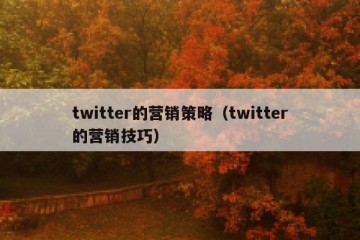 twitter的营销策略（twitter的营销技巧）
