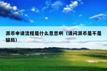 派币申请流程是什么意思啊（请问派币是不是骗局）