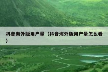 抖音海外版用户量（抖音海外版用户量怎么看）