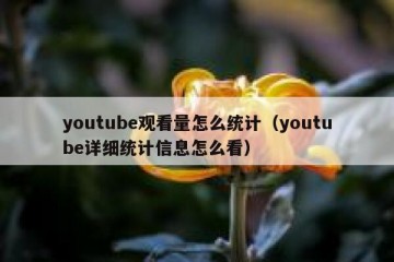 youtube观看量怎么统计（youtube详细统计信息怎么看）
