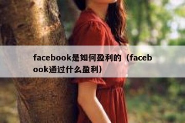 facebook是如何盈利的（facebook通过什么盈利）