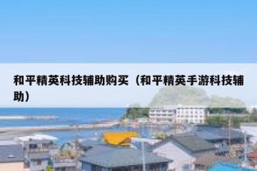 和平精英科技辅助购买（和平精英手游科技辅助）