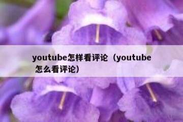 youtube怎样看评论（youtube 怎么看评论）