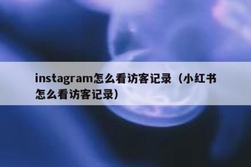 instagram怎么看访客记录（小红书怎么看访客记录）