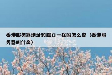 香港服务器地址和端口一样吗怎么查（香港服务器叫什么）