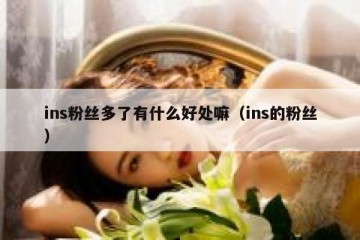 ins粉丝多了有什么好处嘛（ins的粉丝）