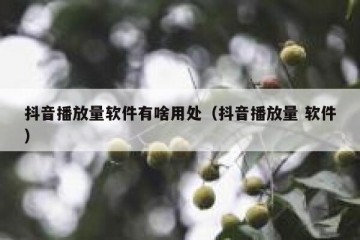 抖音播放量软件有啥用处（抖音播放量 软件）